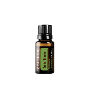 Óleo Tea Tree Árvore do Chá Melaleuca alternifolia 15 ml